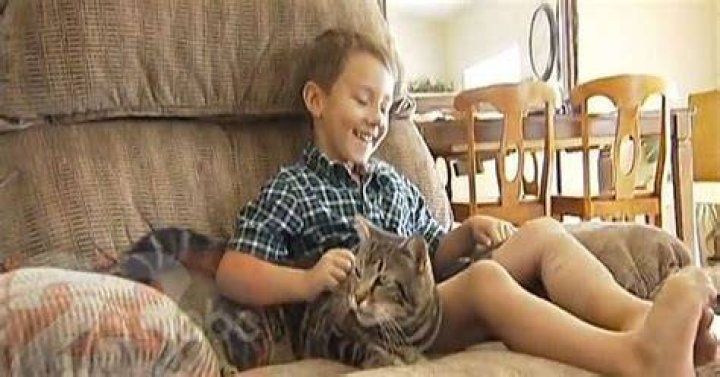 Are bears afraid of cats?