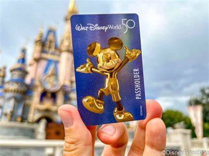 Can you get drunk at Disney World?