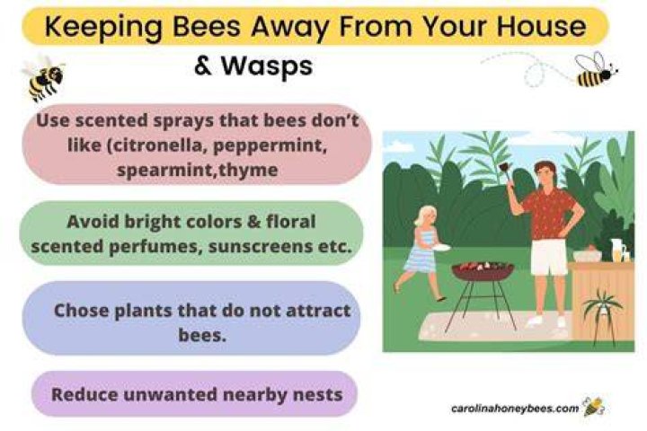 How do you chase bees away?