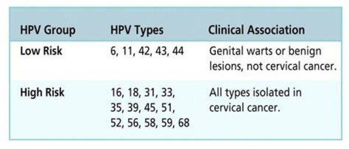 Is HPV 53 high risk?