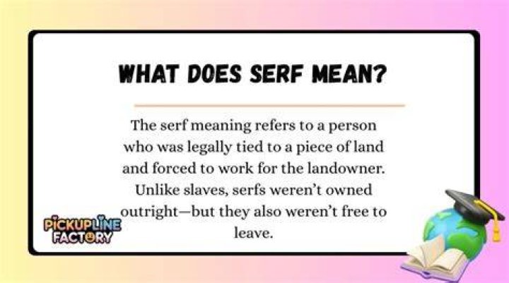 What does serf mean in slang?