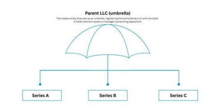 What is an umbrella parent?