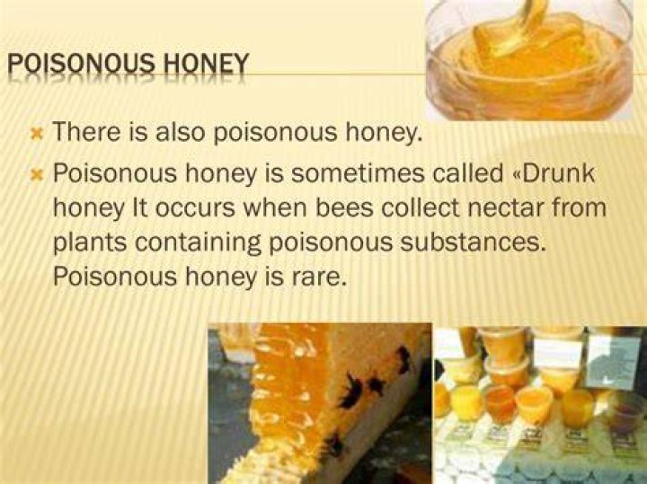 Which honey is poisonous?